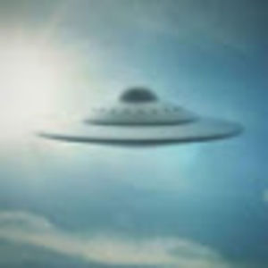 Meet your Posher, Stella